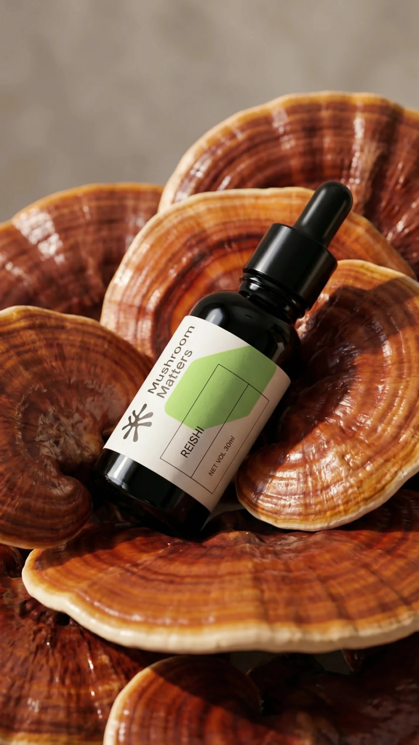 Reishi extract in a 30 ml amber dropper bottle, close up
