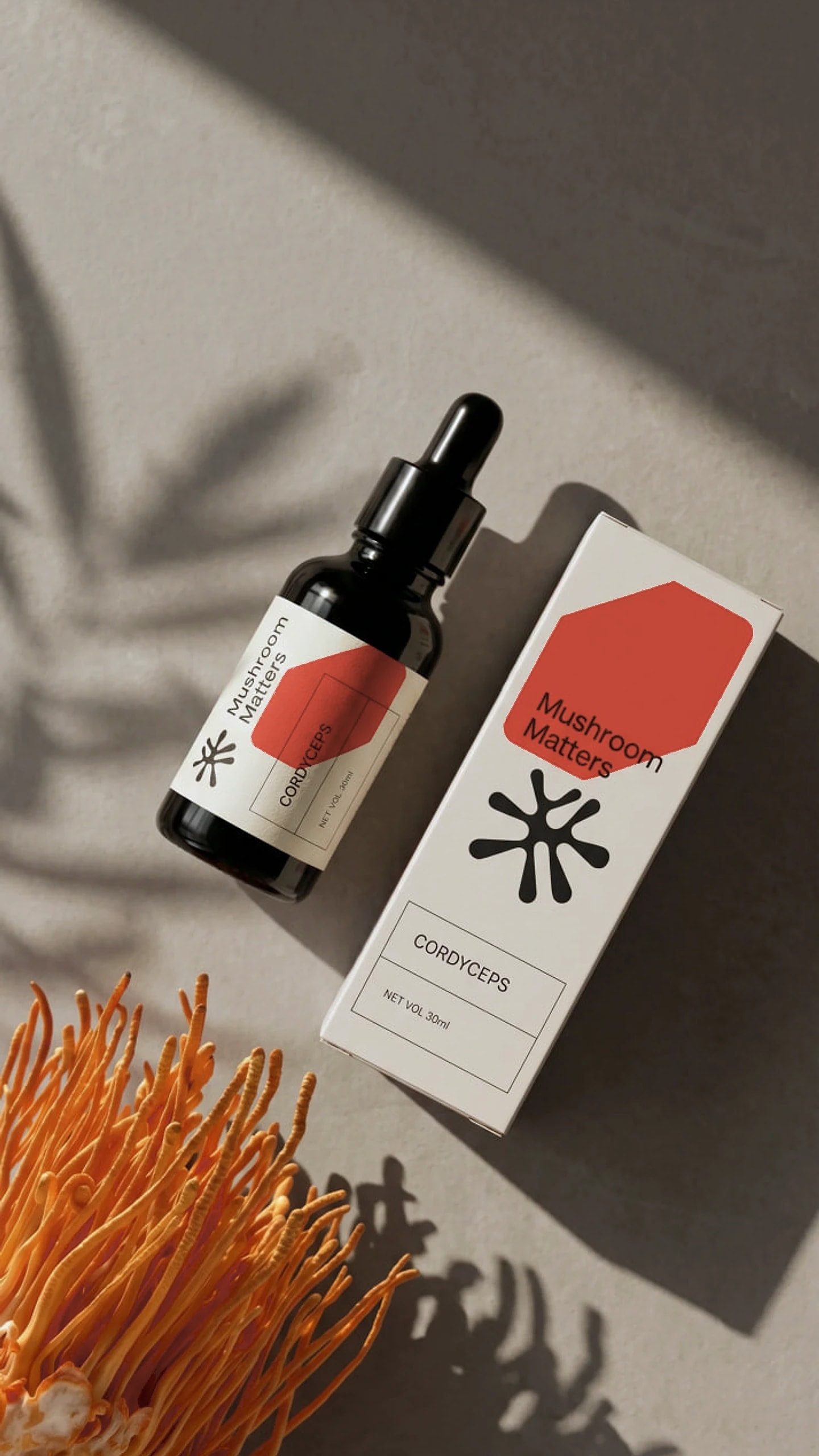 Cordyceps extract bottle and box photographed from above