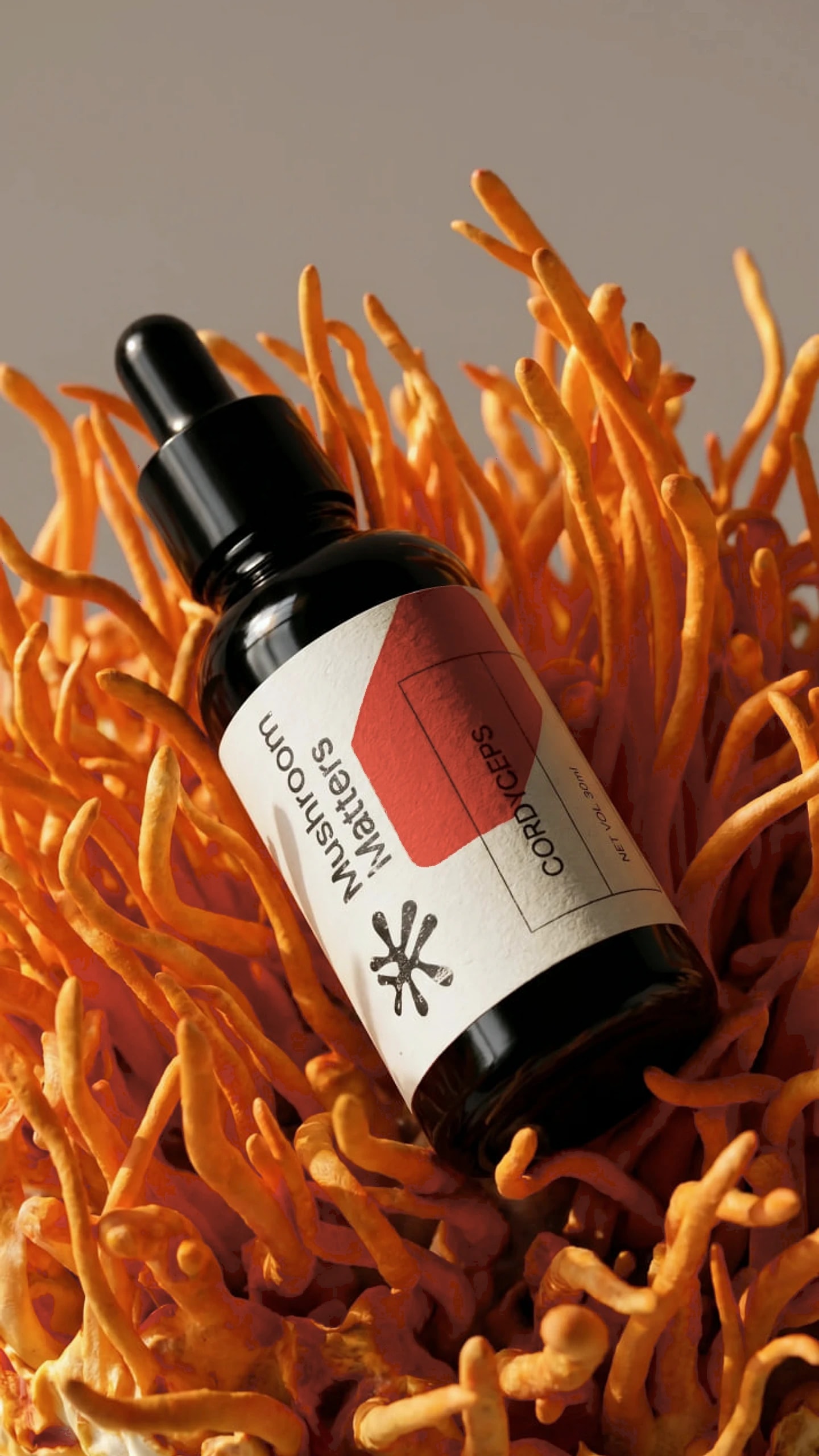 Cordyceps extract in a 30 ml amber dropper bottle, close up